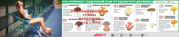 прущий лед Сафоново