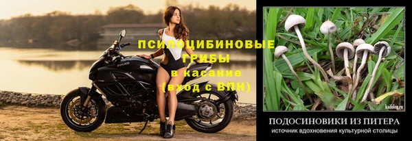 прущий лед Сафоново