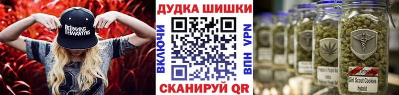 Купить закладки  Качканар  Бошки Шишки VHQ 